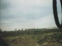 7.jpg (22339 byte)