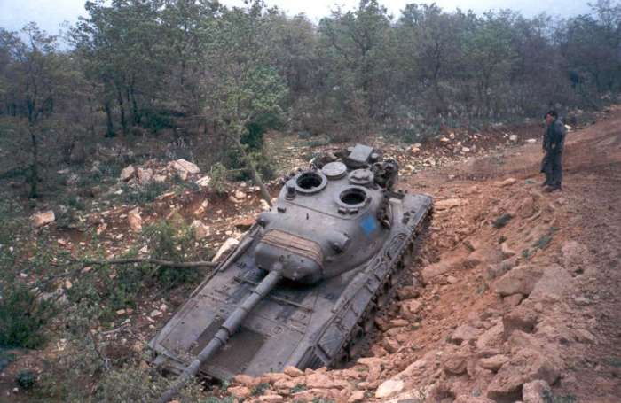 leopard01.jpg (52082 byte)