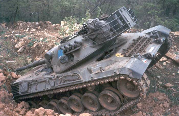 leopard02.jpg (60056 byte)