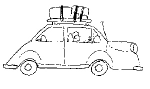fanella.gif (1789 byte)