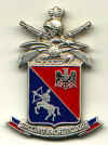 46-101-zappala-1.JPG (50903 byte)