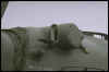Img0097.jpg (57400 byte)