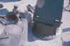 030.jpg (41694 byte)