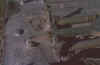 033.jpg (42542 byte)