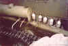 a01.jpg (47957 byte)