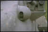 Img0042.jpg (45043 byte)