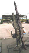 18.jpg (38310 byte)