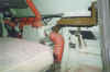 a061.jpg (41577 byte)